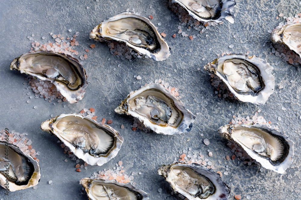 Fresh open oysters. Healthy seafood. Dinner in the restaurant. Gourmet food. Dark background. Top view Fresh open oysters. Healthy seafood. Dinner in the restaurant. Gourmet food. Dark background. Top view