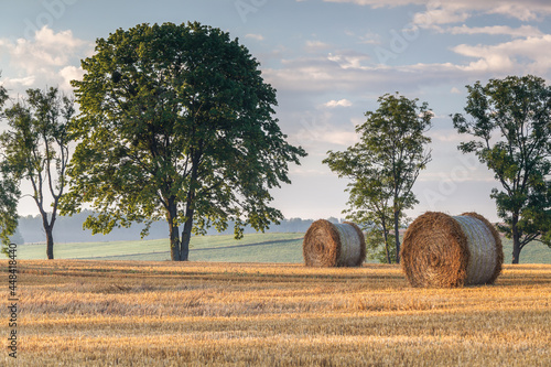 Fototapeta Naklejka Na Ścianę i Meble -  View of the Masurian fields.