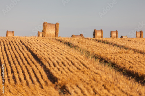 Fototapeta Naklejka Na Ścianę i Meble -  View of the Masurian fields.