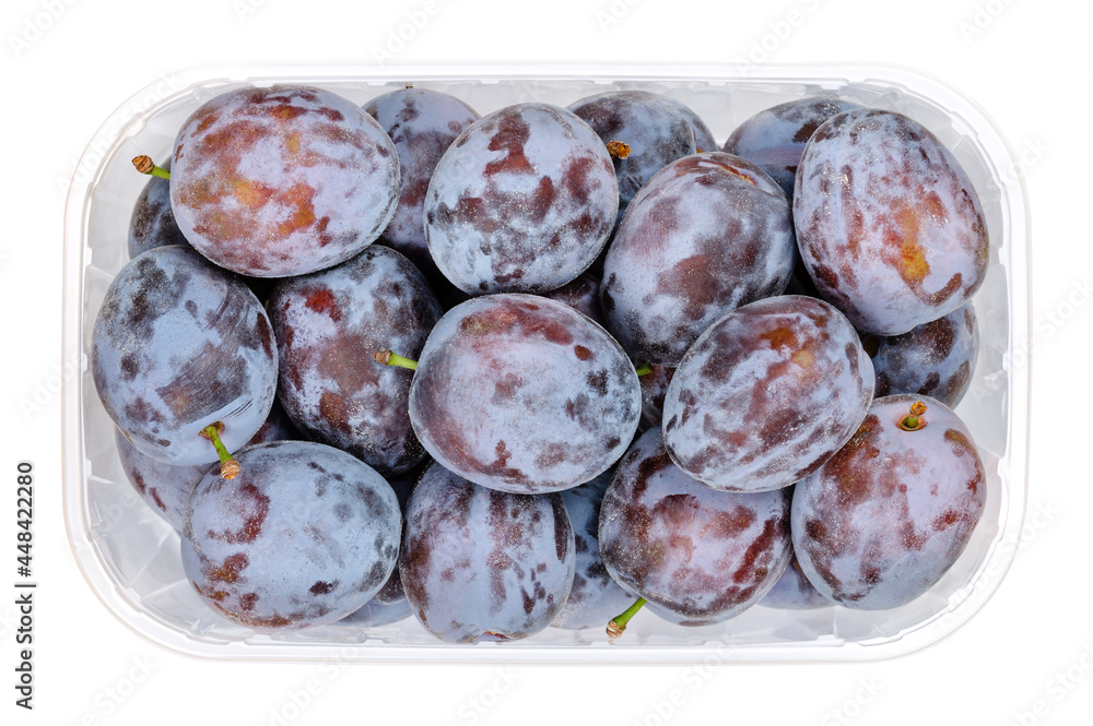 Foto de Ripe prune plums in a clear plastic container. Fresh fruit and 