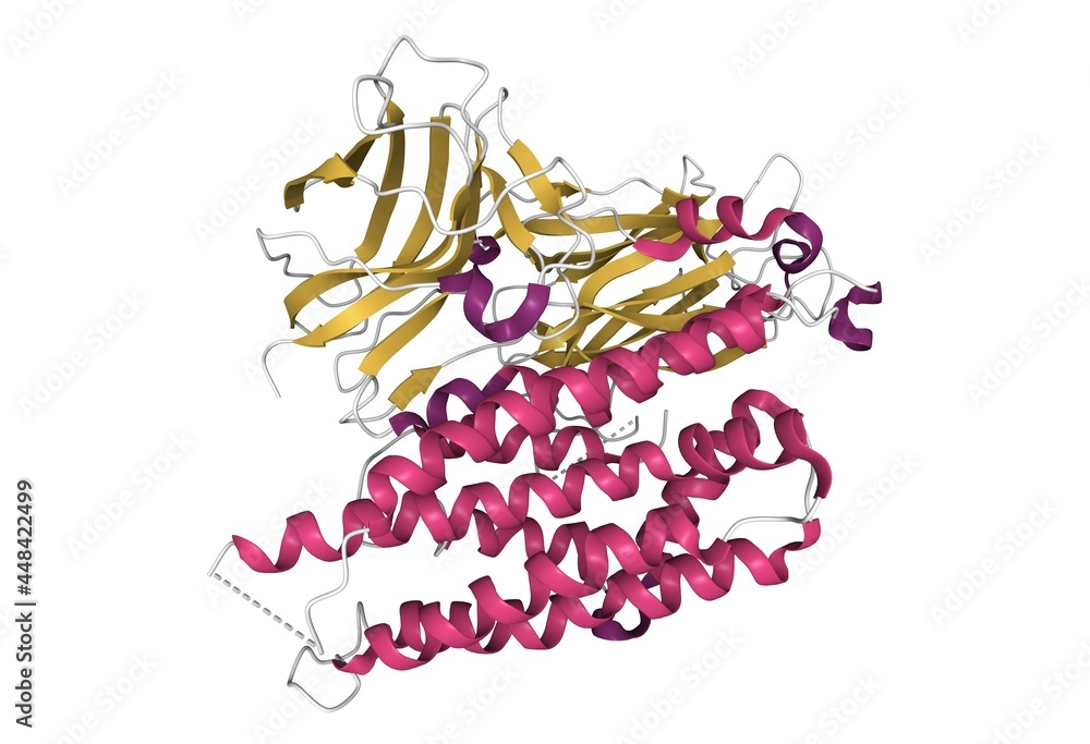 Structure of the functional form of the mosquito-larvicidal Cry4Aa toxin from Bacillus thuringiensis, 3D cartoon model, secondary structure color scheme, based on PDB 2c9k, white background