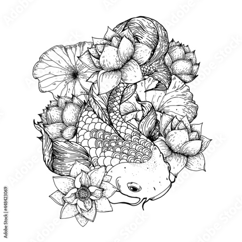 Koi carp with water lilies flowers sketch. Vector illustration. Tattoo print. Hand drawn illustration for t-shirt print, fabric and other uses.