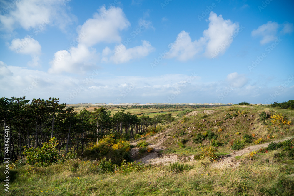 seaside valley with trees seaside valley with trees
