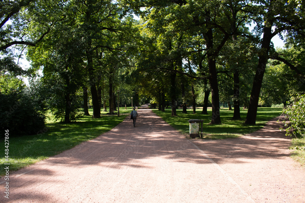 Fototapeta premium Park 