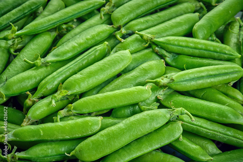 Fresh green pods or peas rotating. Peas background. Top view