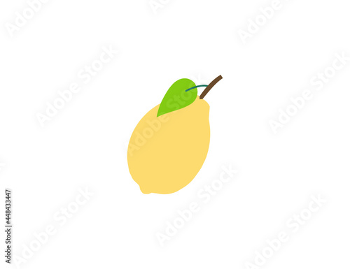 Fruit, lemon icon. Vector illustration. Flat design.