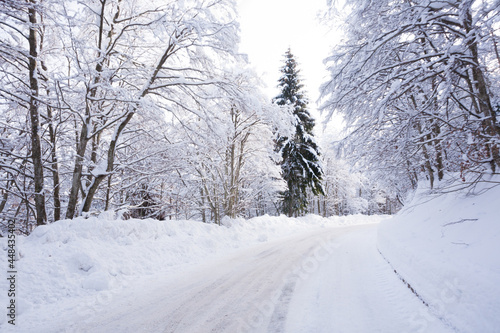 Winter landscape, road covered by snow © elleonzebon