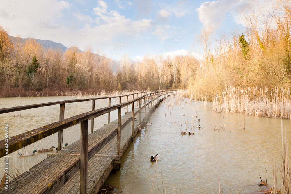 Old wood footbridge on lagoon, rural landscape Old wood footbridge on lagoon, rural landscape