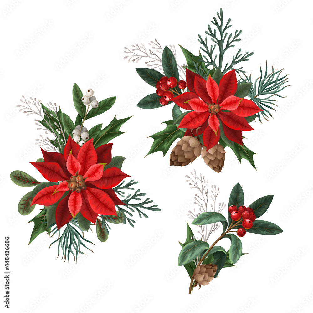 Botanical berries, pines and leaves for Christmas design isolated. Botanical berries, pines and leaves for Christmas design isolated.