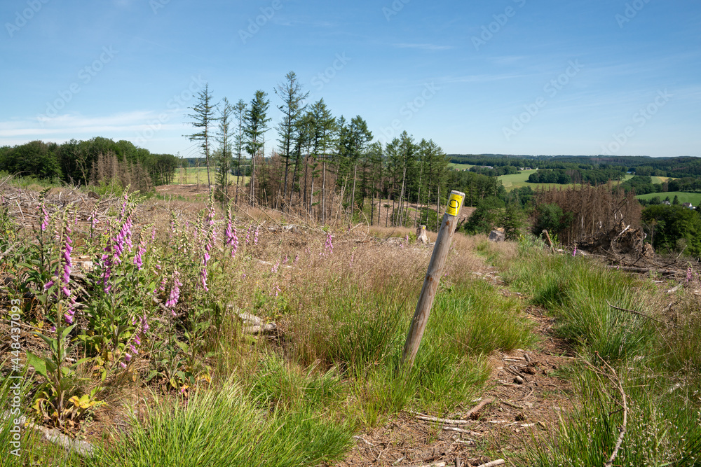 Fototapeta premium Bergischer Panoramasteig, Germany