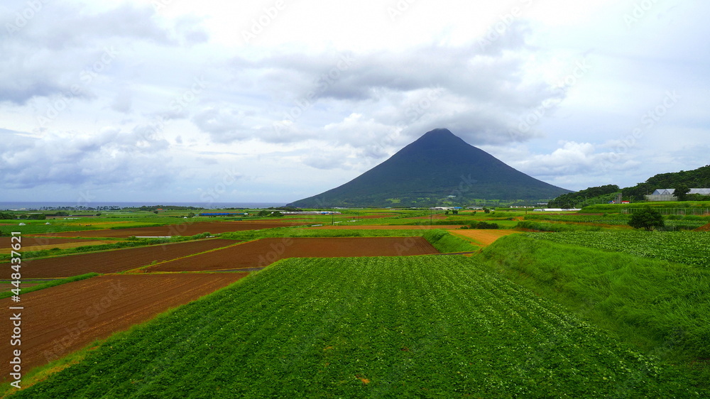 Fototapeta premium 開聞岳2