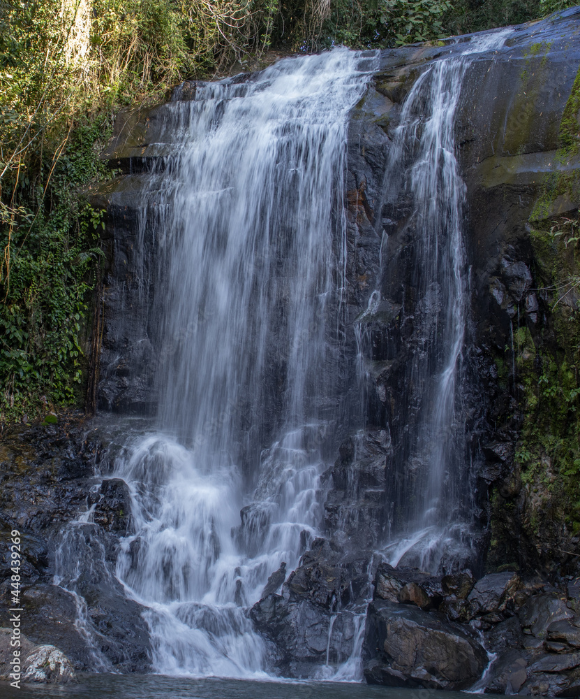 Fototapeta premium Cachoeira na mata atlântica