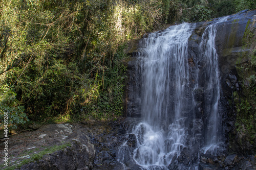 Cachoeira na mata atl  ntica