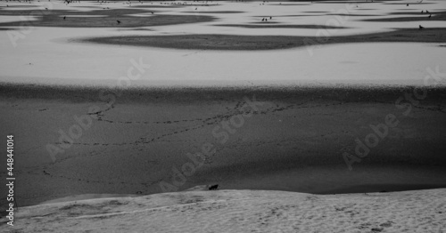 snow dunes in the morning
