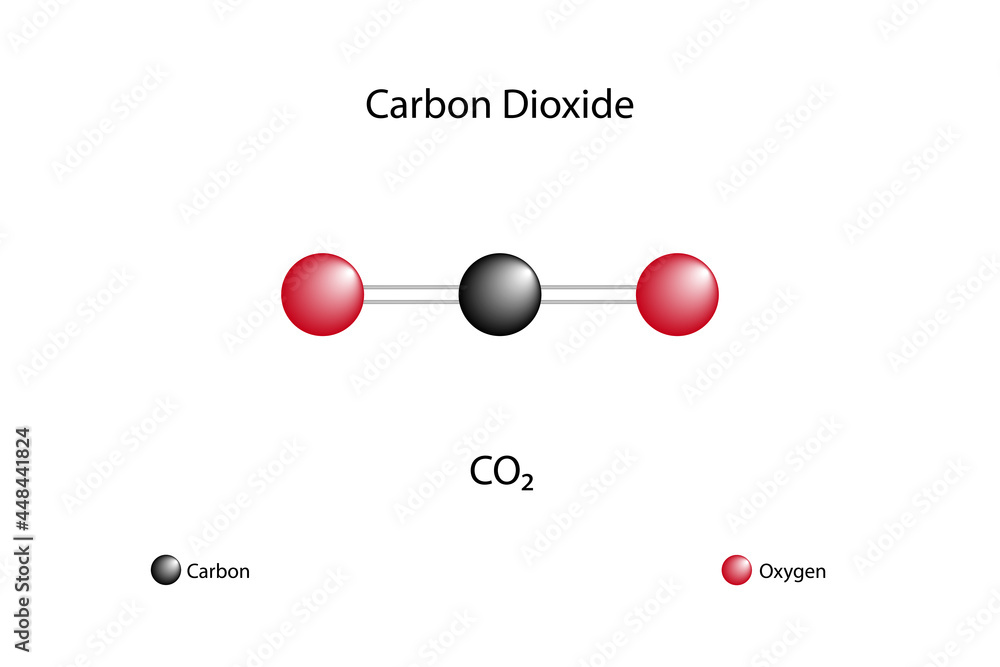 structure of carbon dioxide which has the formula co2