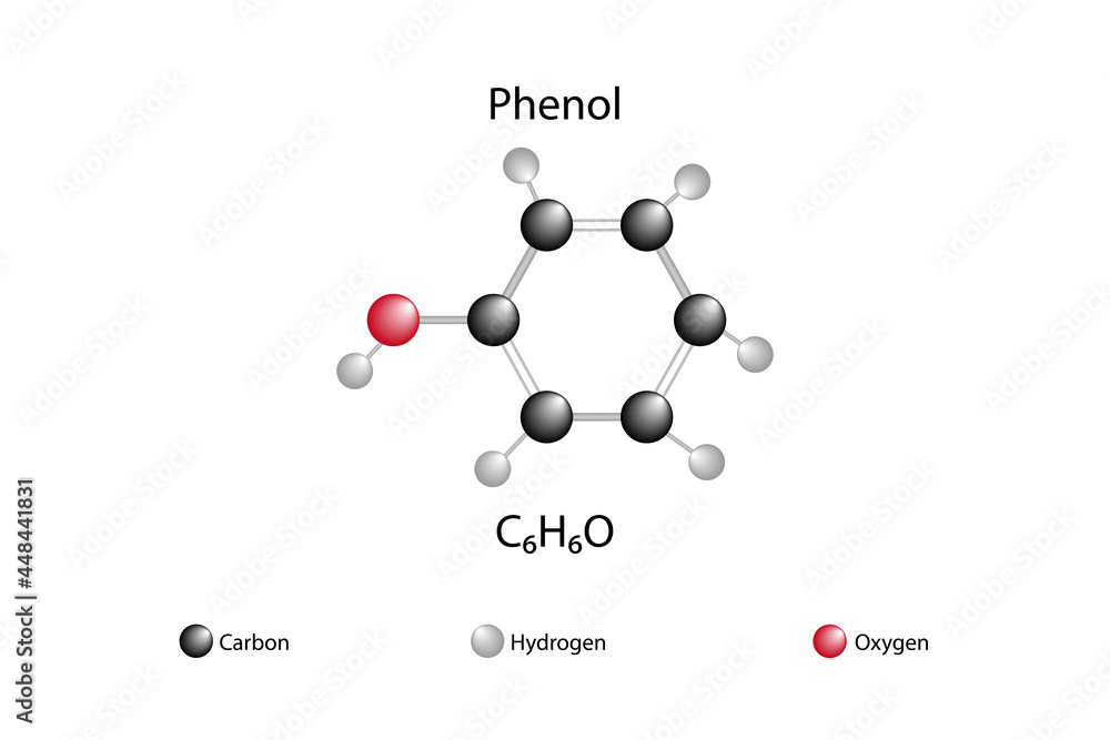 Molecular formula of phenol. Chemical structure of phenol vector de Stock Adobe Stock