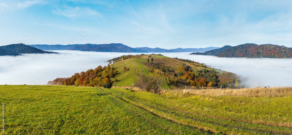 Morning foggy clouds in autumn mountain countryside.  Ukraine, Carpathian Mountains, Transcarpathia. Peaceful picturesque traveling, seasonal, nature and countryside beauty concept scene.