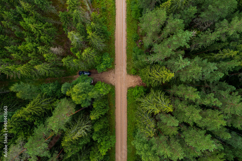 dirt road through the forest