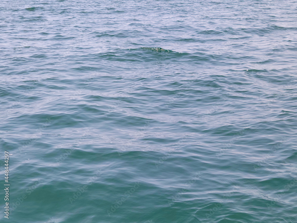 Naklejka premium calm Lake Michigan water with shallow wave