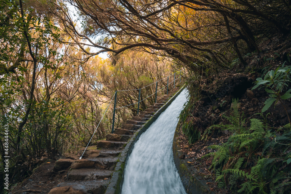 A Portuguese water channel system called Levada in Madeira. High quality photo A Portuguese water channel system called Levada in Madeira. High quality photo