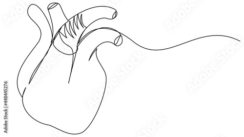 Human heart in one line. Organ of the circulatory system.