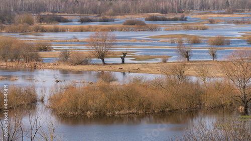 Rozlewisko rzeki Biebrza w Polsce