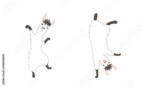 Dancing funny lamas vector illustration. Cute south american animals characters. Good for print, pattern, clothing, textile, nursery design.