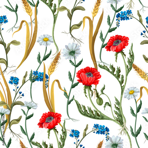 Seamless pattern with botanical flowers such as poppies, chamomile, ear of wheat and other.