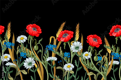 Border with botanical flowers such as poppies, chamomile, ear of wheat and other.