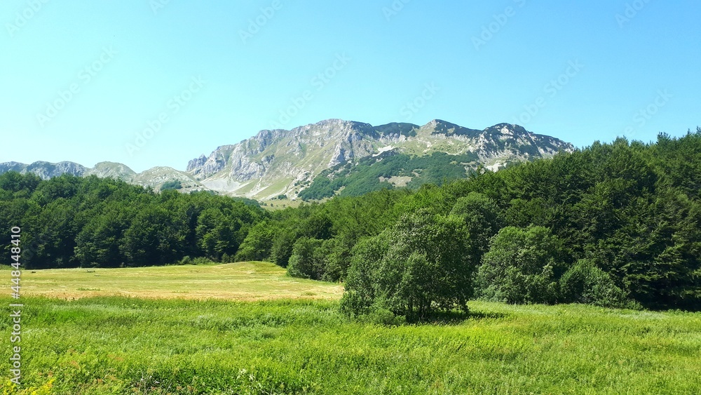 Mountain Zelengora landscape with green meadows, forest and high mountain peaks, Bosnia and Herzegovina