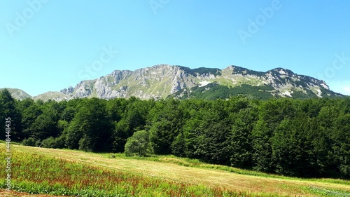 Mountain Zelengora landscape with Kalelija peak and green forest, Bosnia and Herzegovina