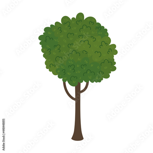 tree woody icon