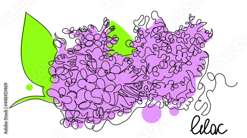 Colored lilac in one line on a white background. Spring flowers for packaging decoration.