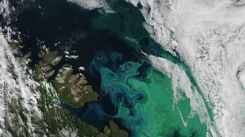 Phytoplankton blooms on sea surface spectacular rotating animation, Barents sea aerial satellite view. Based on image furnished by Nasa photo