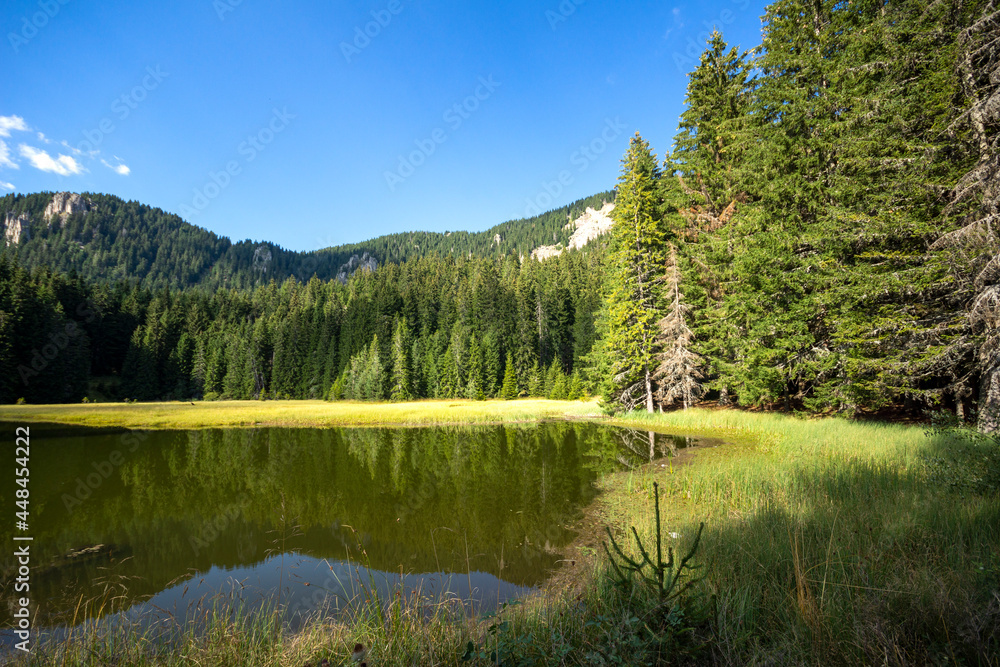 Landscape of The Grassy (Trevistoto) Smolyan lake, Bulgaria
