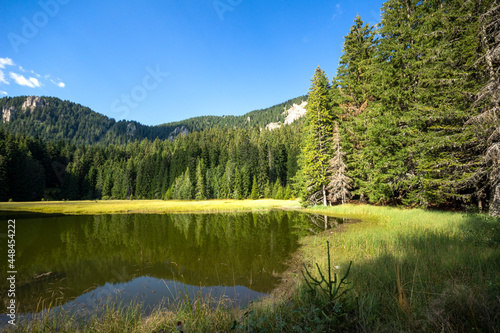 Landscape of The Grassy (Trevistoto) Smolyan lake, Bulgaria