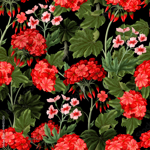 Seamless pattern with geraniums and wild flowers. Trendy floral vector print.