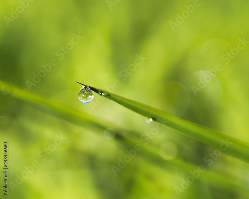 Tokyo,Japan - August 2, 2021: Closeup of small waterdrop on grass illuminated by the rising sun 