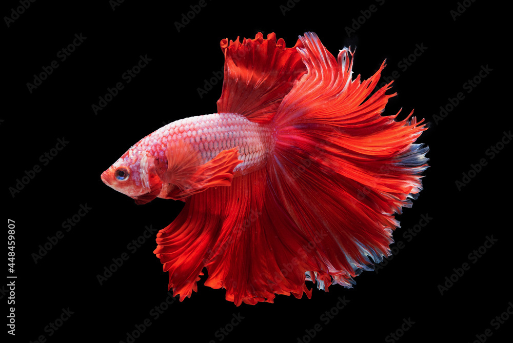 Beautiful colors Beautiful colors