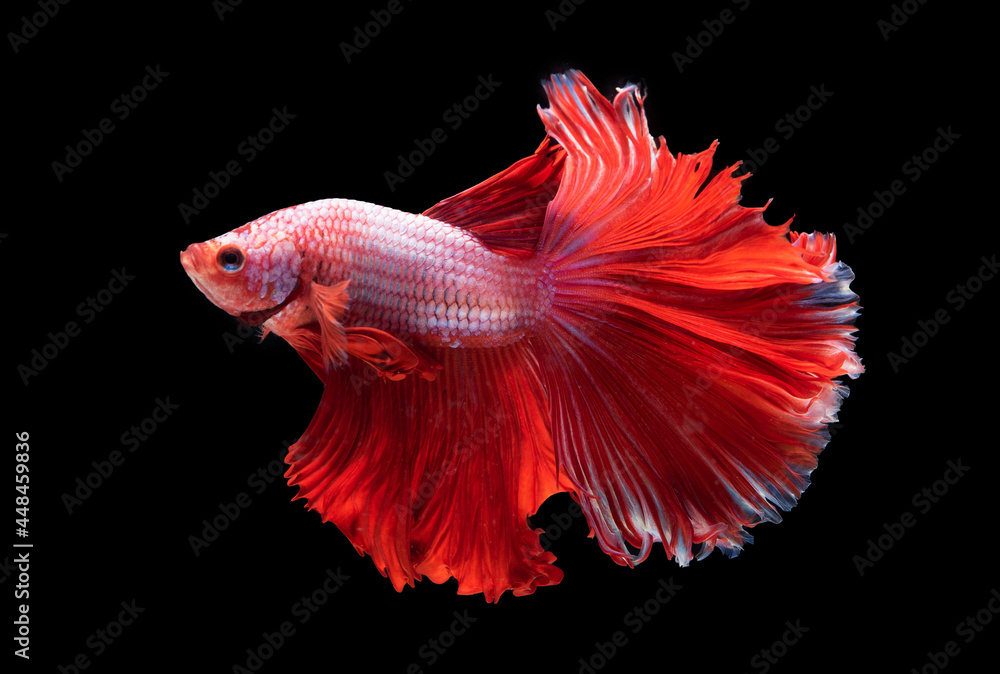 Beautiful colors Beautiful colors