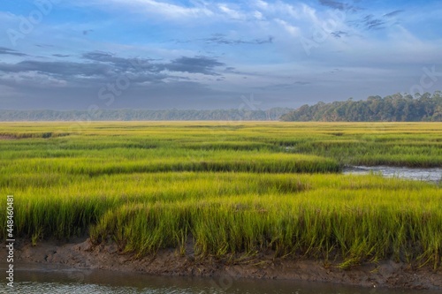 Low Country Marsh