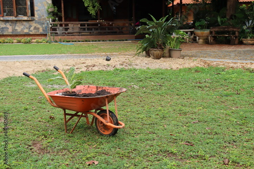 Car with soil and plant grass in the garden