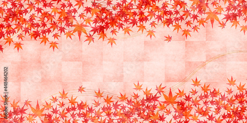 紅葉　もみじ　秋　背景