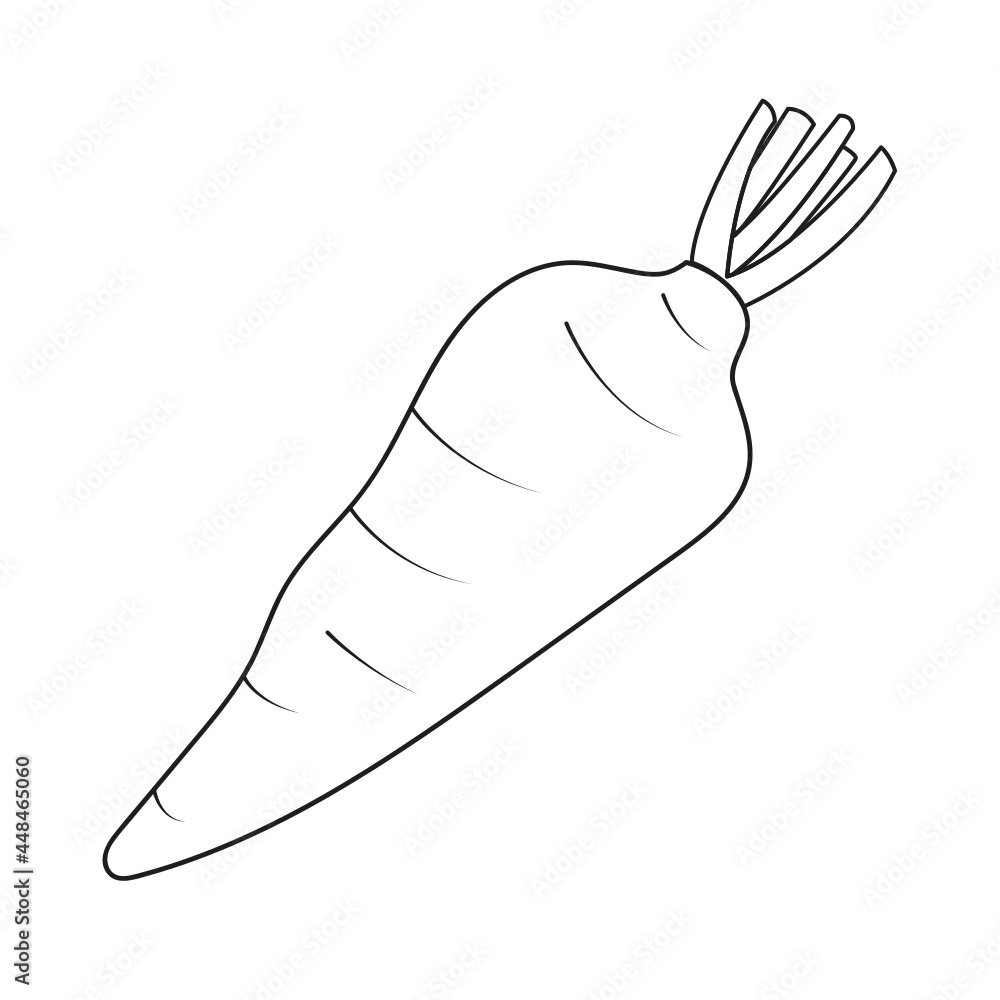 Obraz premium Carrot