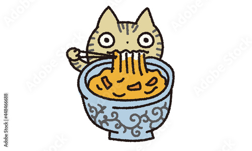 カレーうどんを食べるねこ