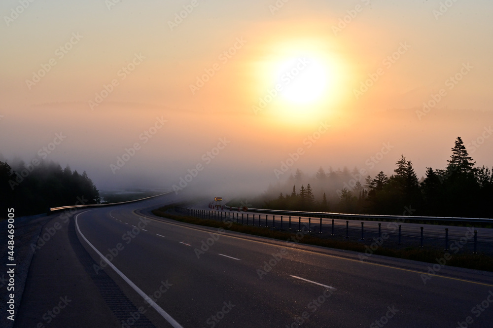 The beautiful view of the road in the early morning with the mist and the warm sunshine.