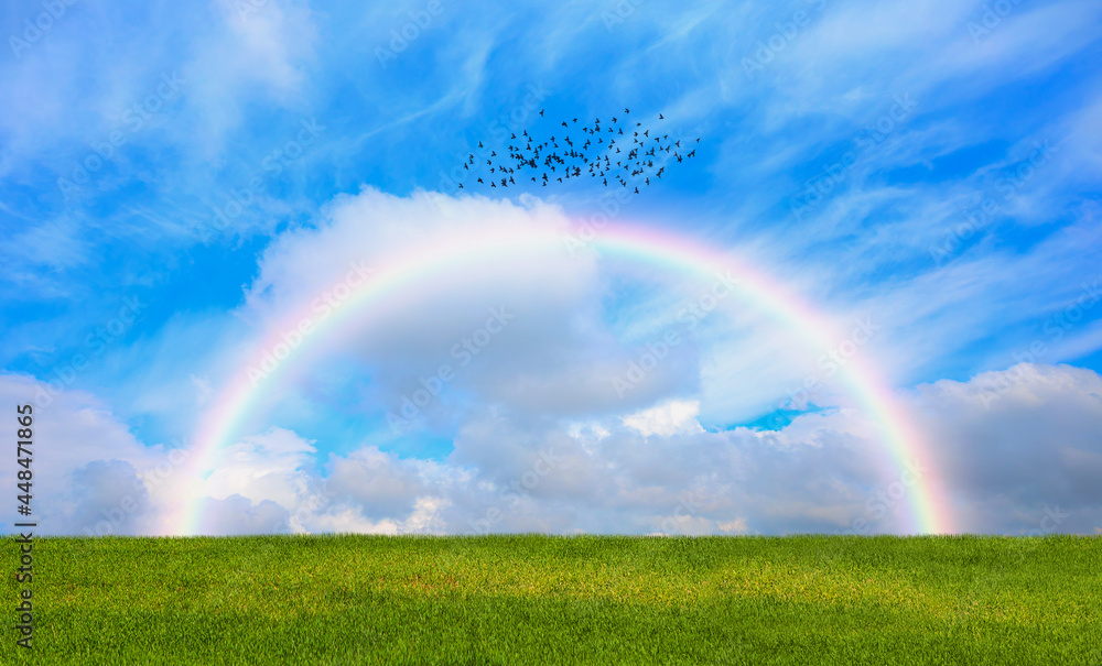 Silhouettes of birds flying over the rainbow green grass field in the foreground Silhouettes of birds flying over the rainbow green grass field in the foreground