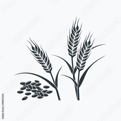 illustration of wheat, wheat icon, vector art.