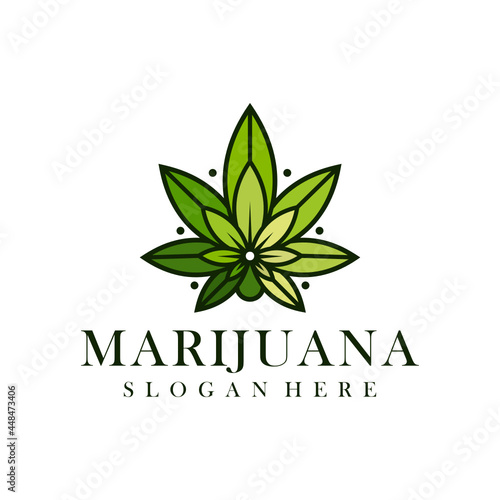 Simple and modern abstract luxury green marijuana leaf logo
