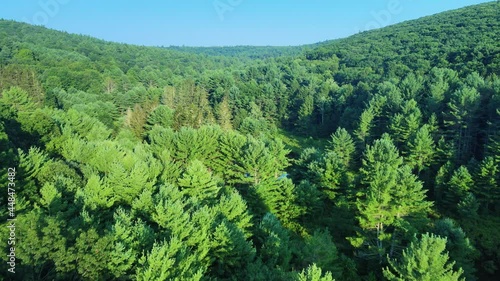 Aerial drone footage of a sweeping pine forest vista in the Appalachian Mountains with a pond. This is in New York's Hudson Valley during summer in the Catskill Mountain sub-range. photo